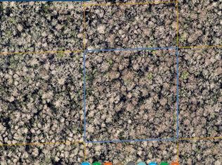 Inaccessible St, Ormond Beach, FL 32174