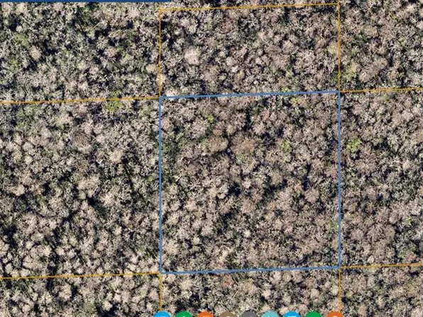 Inaccessible St, Ormond Beach, FL 32174