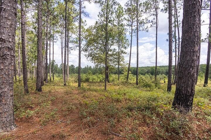 2nd image of LOT Dragstrip Rd #G