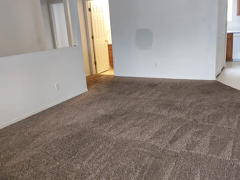 3922 Dove Ln — Photo 4