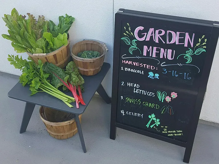 Edible Garden