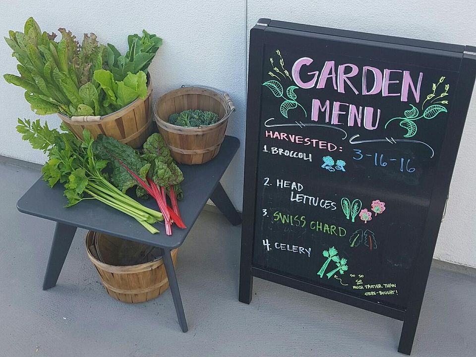 Edible Garden