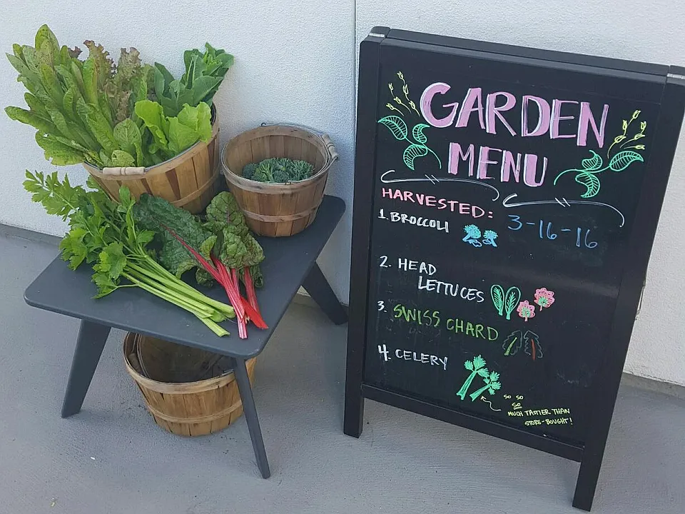 Edible Garden
