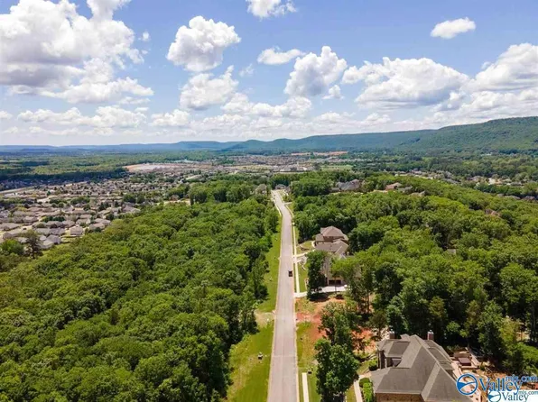 7037 Ridge Crest Rd, Owens Cross Roads, AL 35763