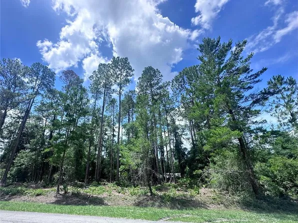 107 S Georgetown Point Rd Lot 4, Georgetown, FL 32139