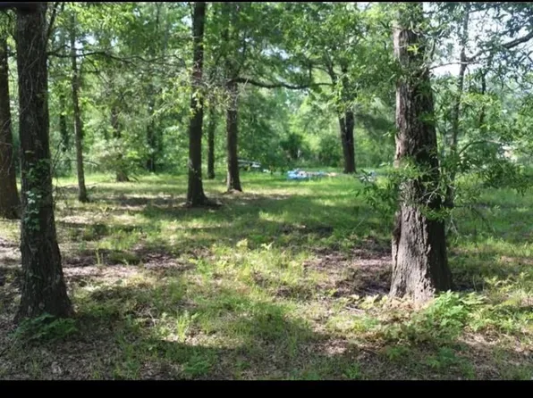 211 Panther Ln Lot 182, Livingston, TX 77351