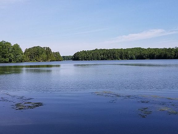 Lake View from the Pier