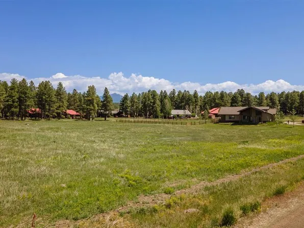 1338 Antelope Avenue, Pagosa Springs, CO 81147