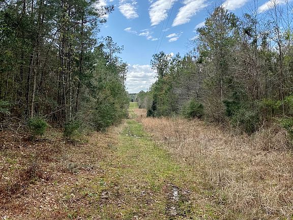 3rd image of 47 Mose Hilliard Rd