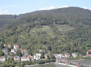 5111 SW 74th Ave, Olympia, WA 98512