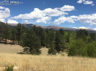 826 May Queen Dr, Cripple Creek, CO 80813