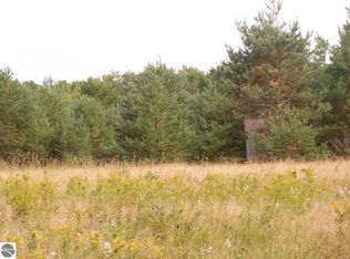 0 10 And Half Rd, Manton, MI 49668