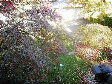 5th image of 14714 Clifton Blvd