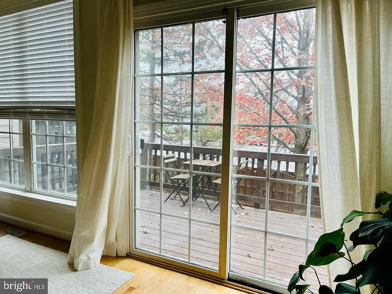 2 bed, 2.5 bath, 1530 sqft, $3,000 — Photo 3