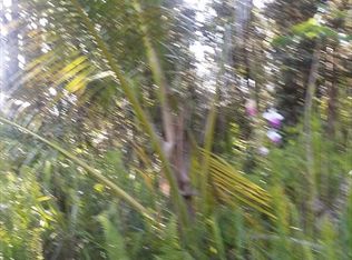 Kona Rd LOT 319, Pahoa, HI 96778