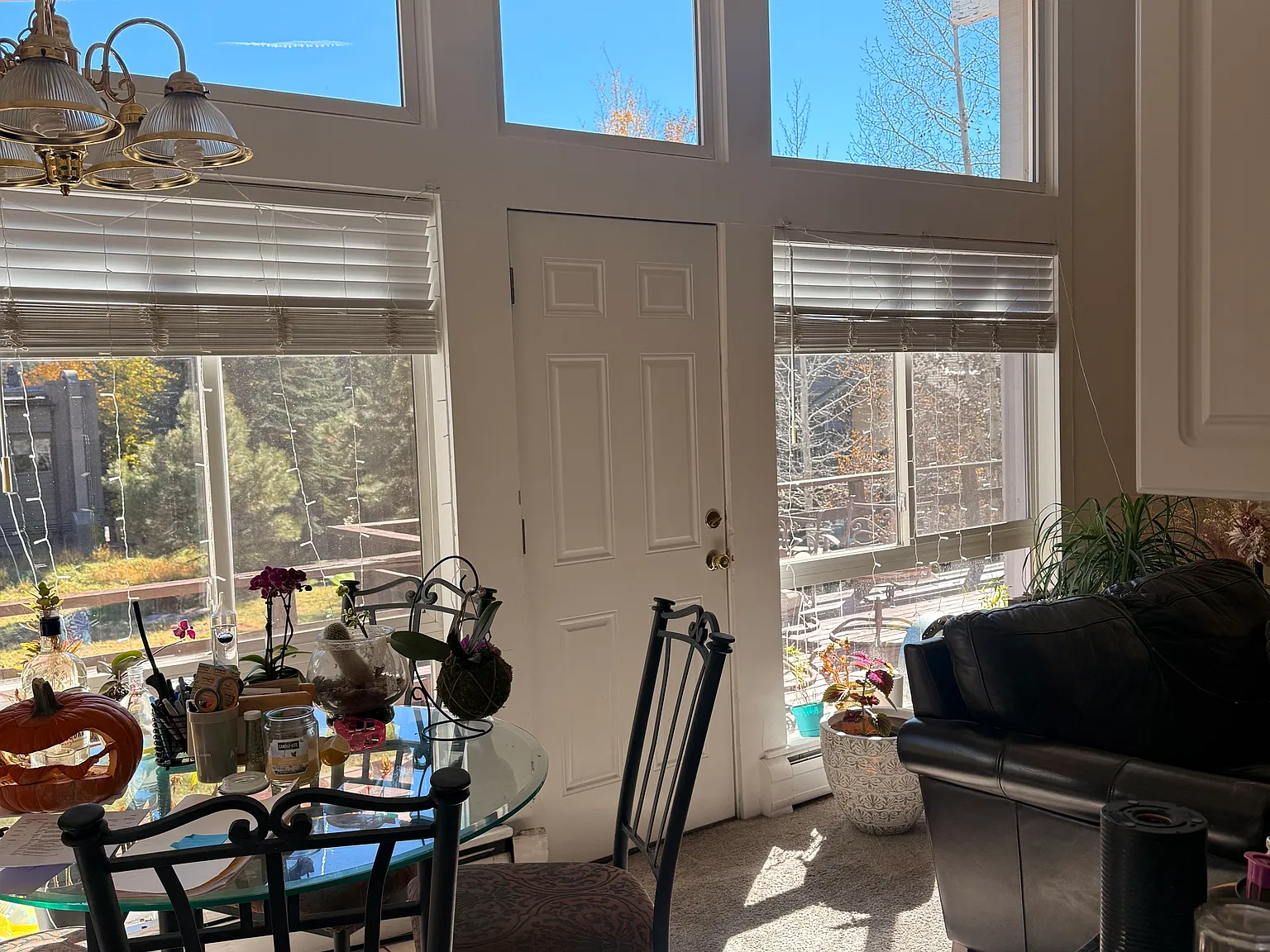 2 bed, 2491 sqft, $1,700 — Photo 2