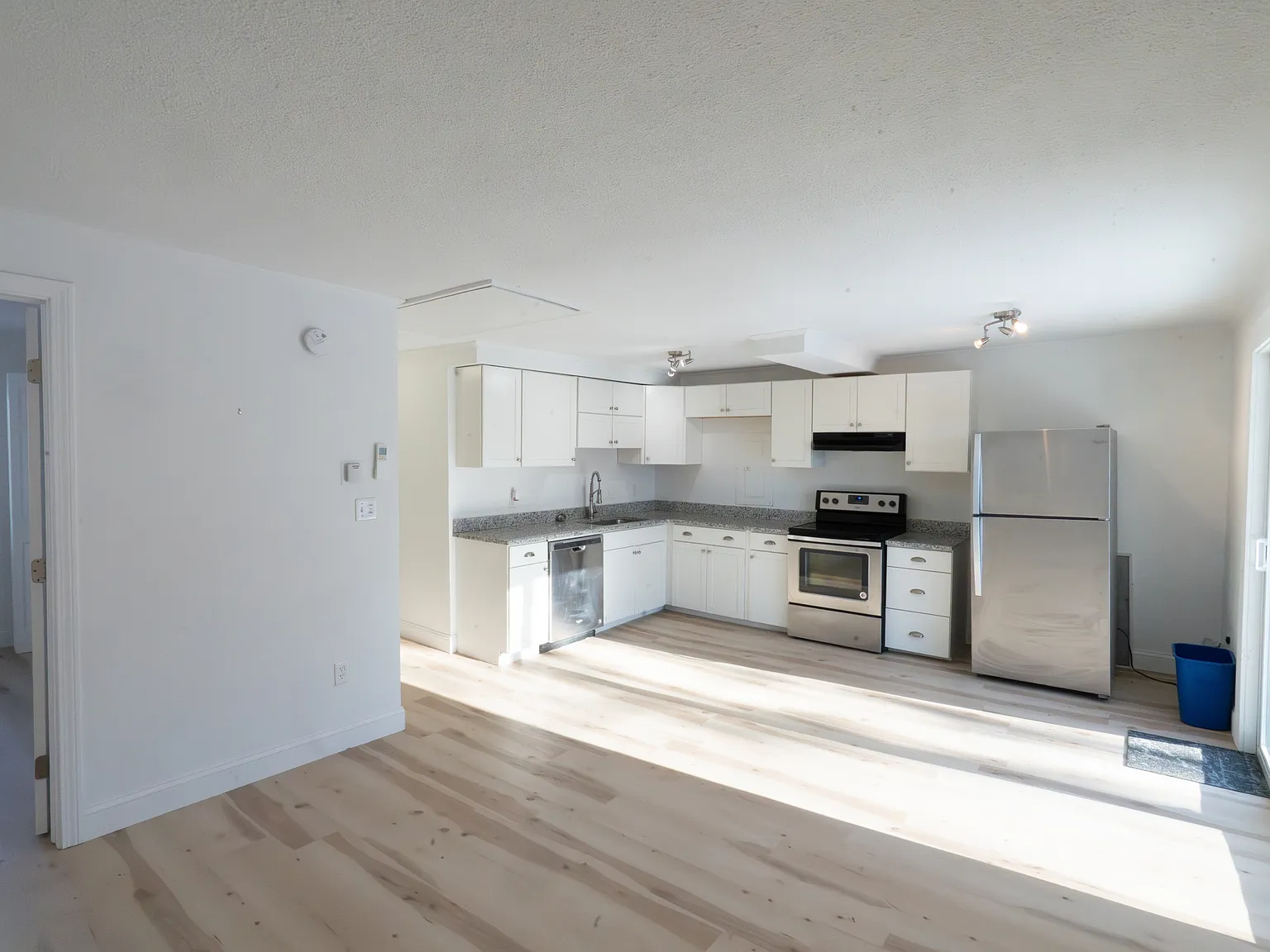 65 Johansen Street - 65 — Photo 2
