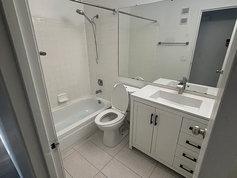 Hall bathroom: new tile and vanity.