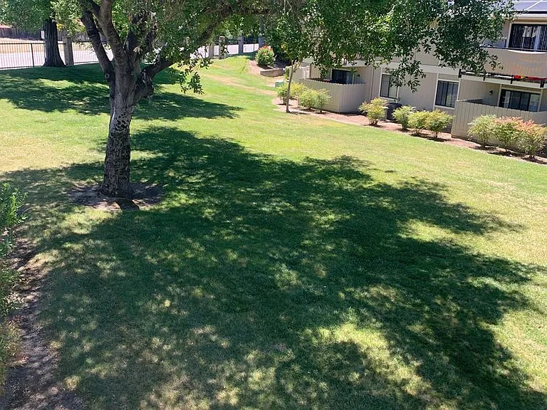 Dry Creek Apartments — Photo 13