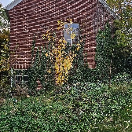 2nd image of 940 Norton Ave