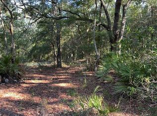 Tbd Ne 75th St, Bronson, FL 32621