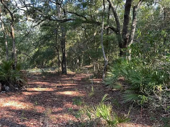 Tbd Ne 75th St, Bronson, FL 32621