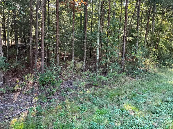 Jessie Mays Ln, Taylorsville, NC 28681