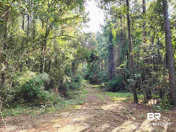 3rd image of 0 Lowery Rd
