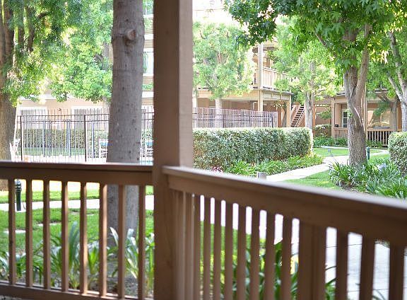 Patio view