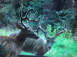 510 Rogues Fork Rd, Bethpage, TN 37022