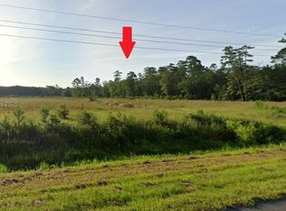 0 Off Hwy #17, Hardeeville, SC 29927