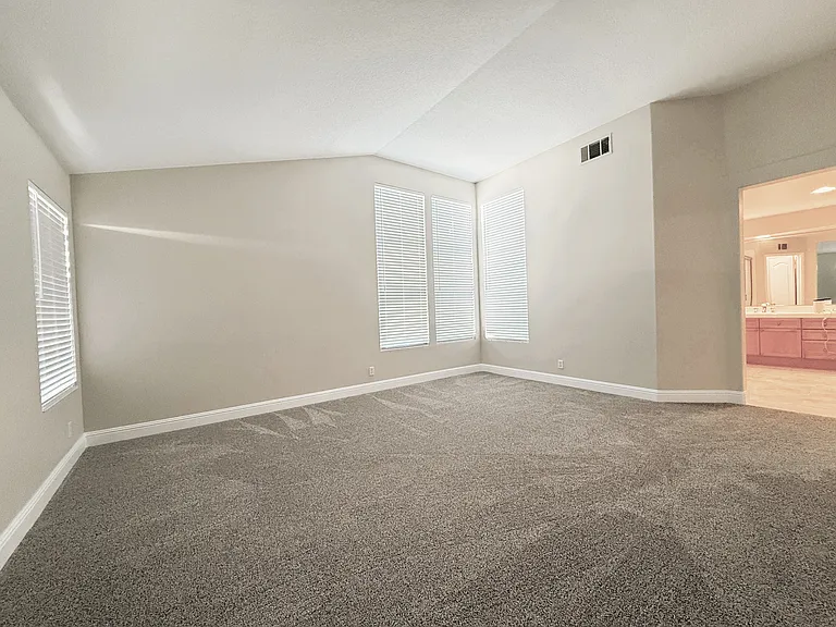 Primary large vaulted ceiling