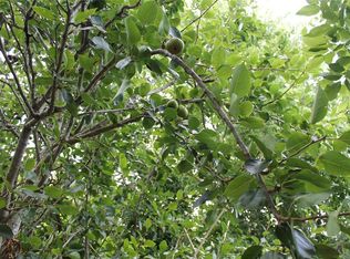 9910 Oberrender Rd, Needville, TX 77461