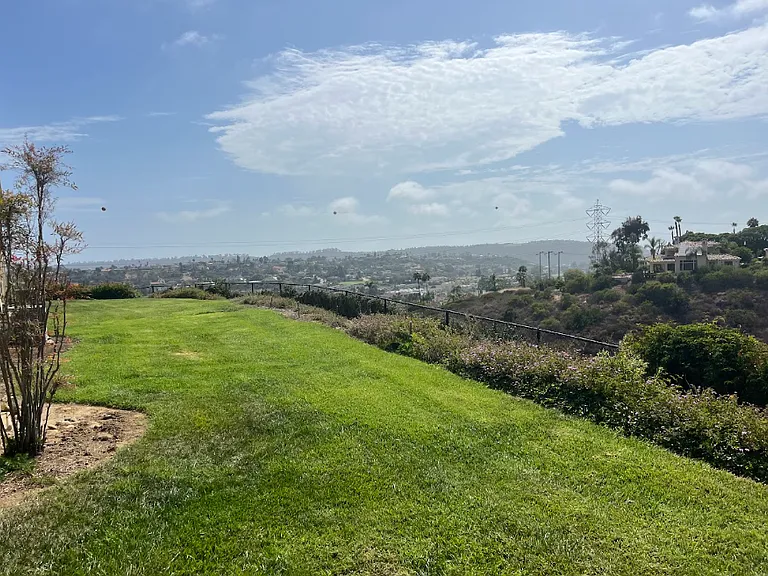View from the patio