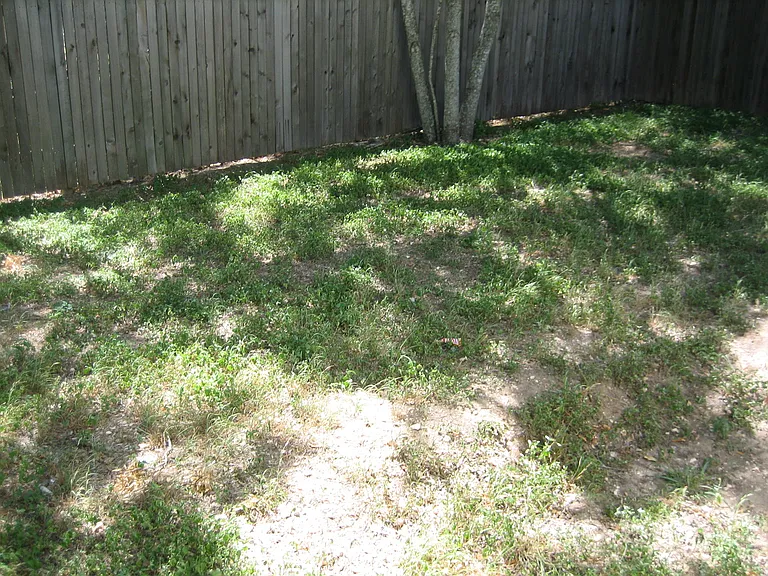 1806 Perez St #A-B — Photo 10