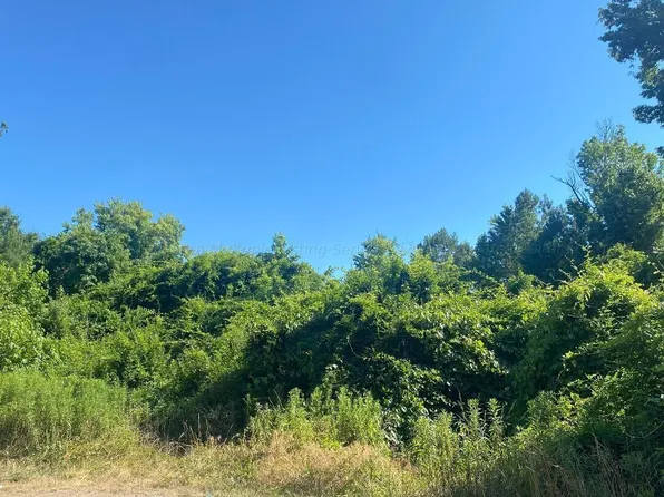 430 Williamstown Ln, Parrish, AL 35580