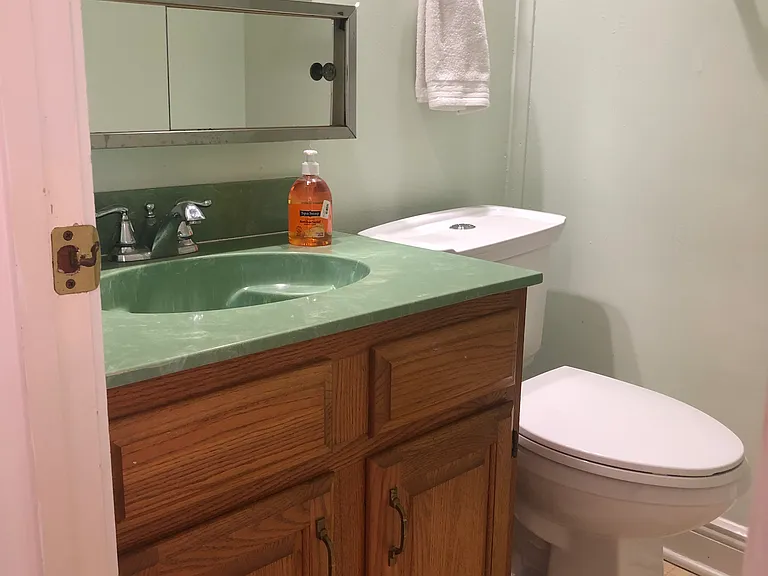 323 Morgan St #FURNISHED — Photo 10