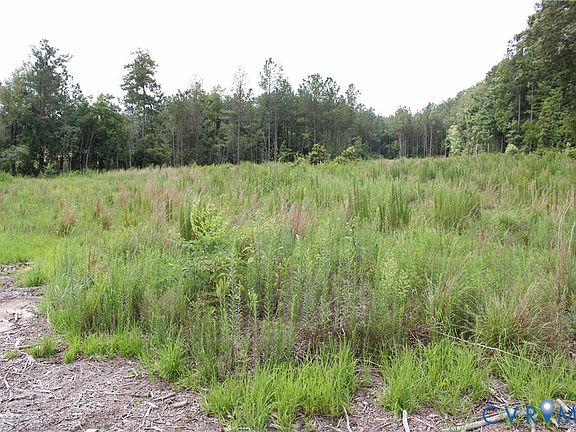 4th image of Tbd4 Black Branch Rd