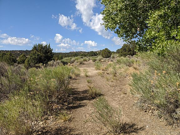 4th image of Lookout Ave