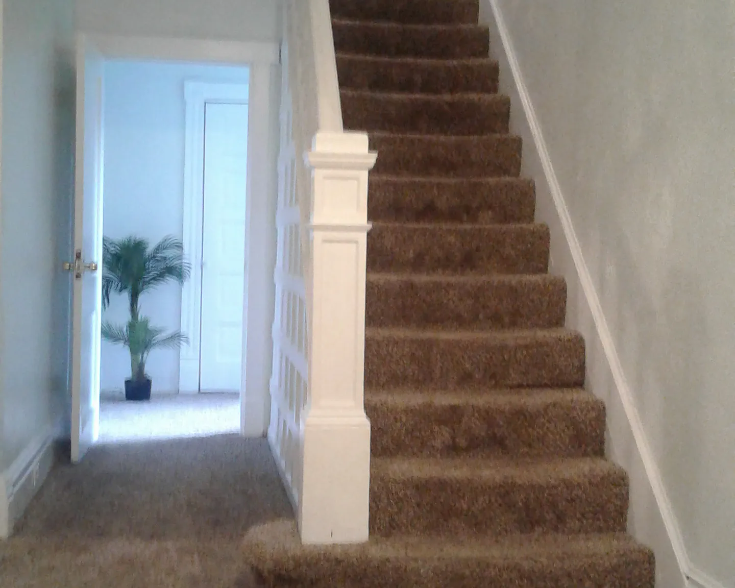 3 bed, 1250 sqft, $935 — Photo 3