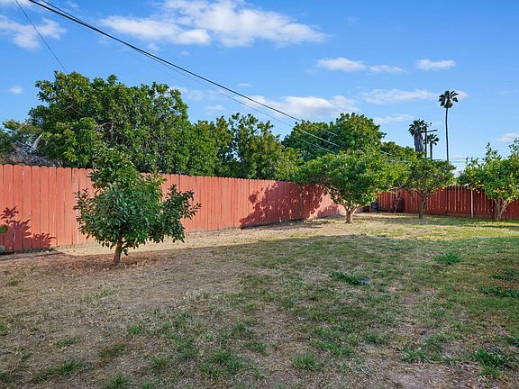 backyard with fruit trees