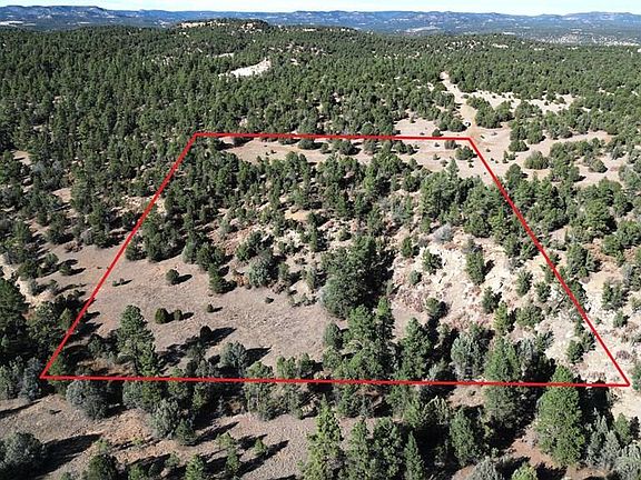 5th image of 29770 County Road 16