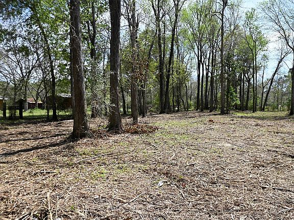 2nd image of LOT 6 County Road 2360