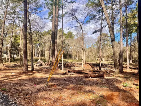 11253 Greenway Dr, Plantersville, TX 77363