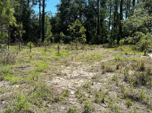 1009 Hummingbird St, Lake Placid, FL 33852