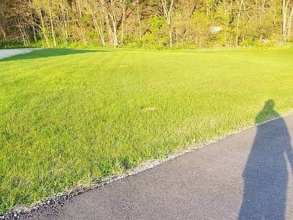 Second Half of my Lot