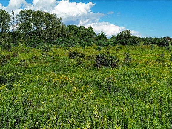 4th image of LOT 19 Tiedman Rd Lot 19