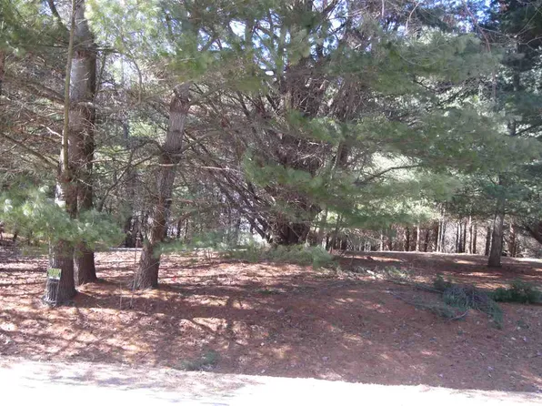 116 Avebury Way, Gladwin, MI 48624