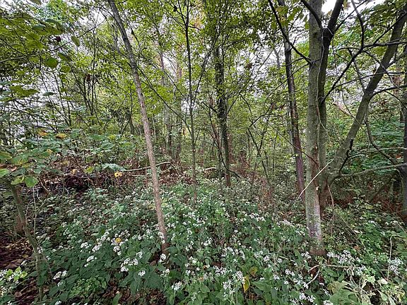 4th image of Spring Dr