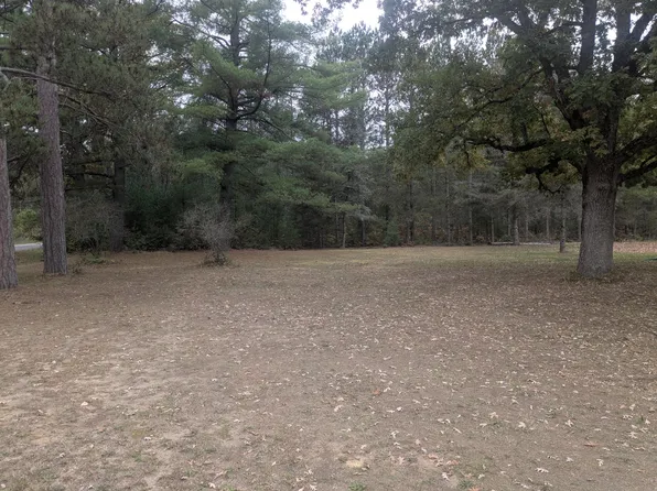 13798 Graf Rd, Brethren, MI 49619